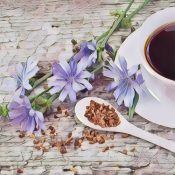 Medicinal Uses For Common Culinary Spices, CHICORY.