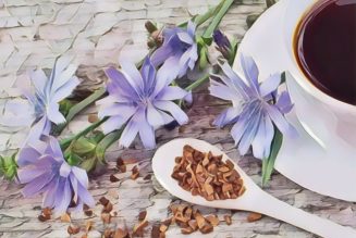 Medicinal Uses For Common Culinary Spices, CHICORY.