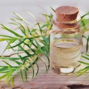 Soothing The Feet 1 Tea tree foot and hand soak
