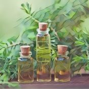 Soothing The Feet 2 Foot and Toenail Fungus