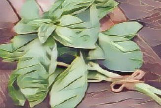 Ingredients for a Kitchen Witch: Basil – Protection