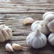 Kitchen Herbs for Witches: Garlic