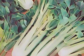 Ingredients for a Kitchen Witch: Celery – Mental Powers