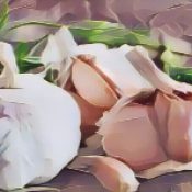 Ingredients for a Kitchen Witch: Garlic – Healing