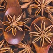 Kitchen Herbs for Witches: Anise