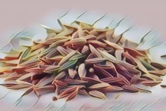 Kitchen Herbs for Witches: Caraway