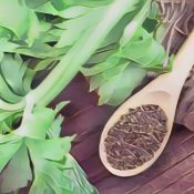 Kitchen Herbs for Witches: Celery seed