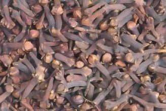 Kitchen Herbs for Witches: Cloves