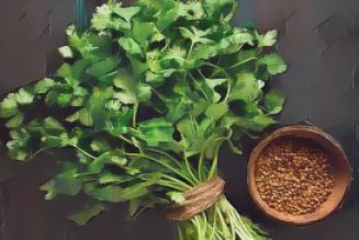 Kitchen Herbs for Witches: Coriander