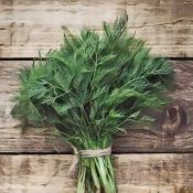 Kitchen Herbs for Witches: Dill  