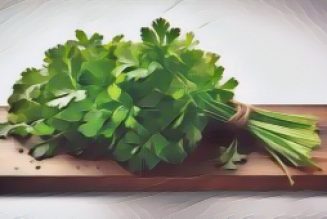 Kitchen Herbs for Witches: Parsley