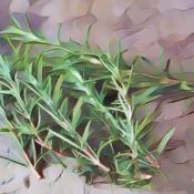 Ingredients for a Kitchen Witch: Rosemary – Purification
