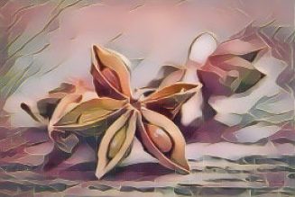 Kitchen Herbs for Witches: Star Anise 