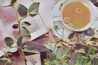 Ingredients for a Kitchen Witch: Tea – Courage