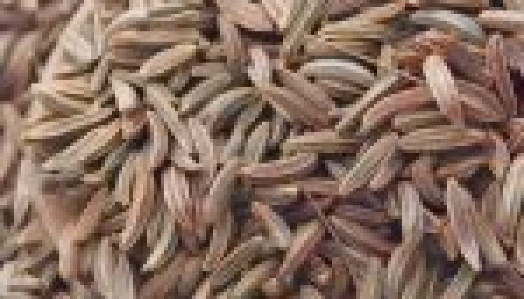 Kitchen Herbs for Witches: Caraway