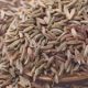 Kitchen Herbs for Witches: Caraway
