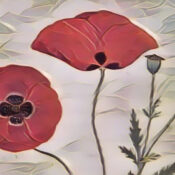 Poppies the Magick of