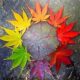Happy Autumn Equinox!
