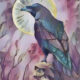 From the Raven’s Perch