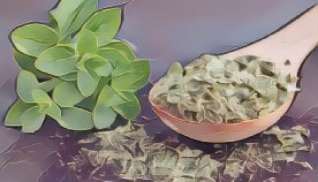 Magickal Herbal House Washes: Protection Wash