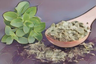 Magickal Herbal House Washes: Protection Wash