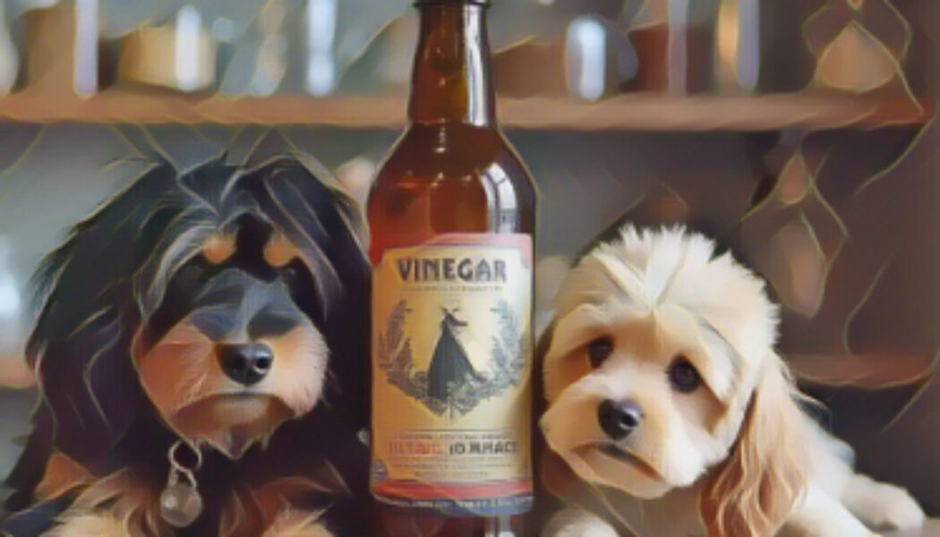 Vinegar Tips for Pets: