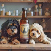 Vinegar Tips for Pets: