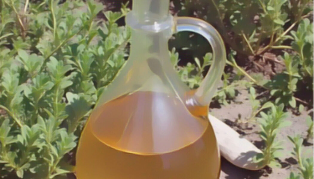 Vinegar Tips for the Garden: