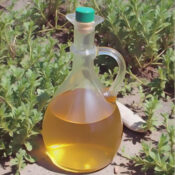 Vinegar Tips for the Garden: