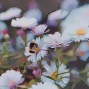 Pleiadian Starseeds: Time in Nature