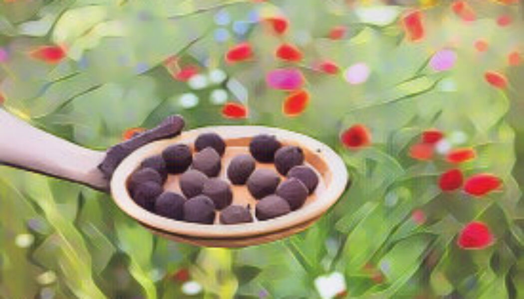 Wildflower Seed Bombs