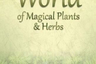 A Kitchen Witchs World of Magical Herbs Plants