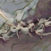 Astral Magick: Werewolves & Flying Witches