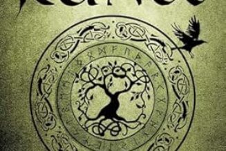 Taking Up the Runes: A Complete Guide to Using Runes in Spells, Rituals, Divination, and Magic 