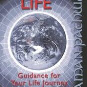 Shaman Pathways – Web of Life: Guidance for your life journey