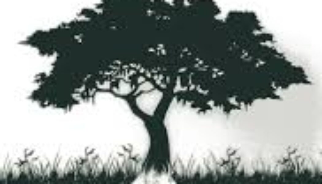 A Modern Celt: Seeking the Ancestors