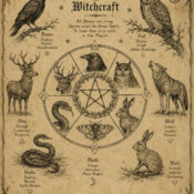 Animal Magick in Witchcraft