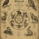Animal Magick in Witchcraft