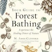 Your Guide to Forest Bathing Experience the Healing Power of Nature