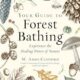 Your Guide to Forest Bathing Experience the Healing Power of Nature