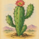 Cactus and Its Place in Witchcraft