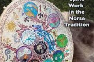 Neolithic Shamanism: Spirit Work in the Norse Tradition by Raven Kaldera