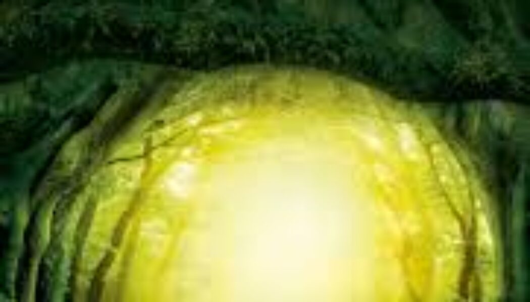 Pagan Portals – Merlin Once and Future Wizard