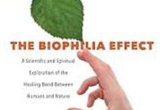 The Biophilia Effect: A Scientific and Spiritual Exploration of the Healing Bond Between Humans and Nature