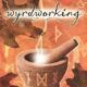 Wyrdworking: The Path of a Saxon Sorcerer by Alaric Albertsson